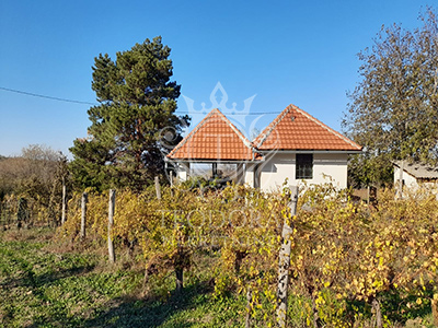 Na prodaju plac sa kućicom u površini od 19 ari pod vinogradom i voćkama...