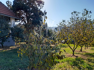Na prodaju plac sa kućicom u površini od 19 ari pod vinogradom i voćkama...