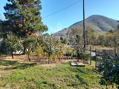 Na prodaju plac sa kućicom u površini od 19 ari pod vinogradom i voćkama...